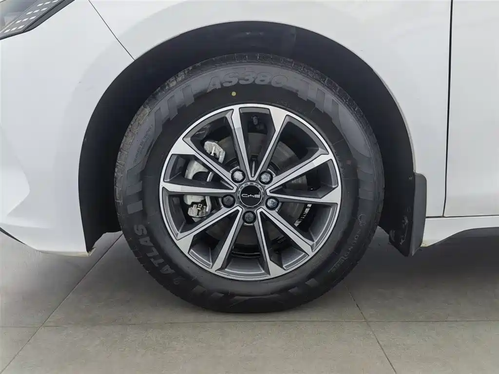 BYD Destroyer 05 2024 Glory Edition DM-i 55KM Luxury фото 17