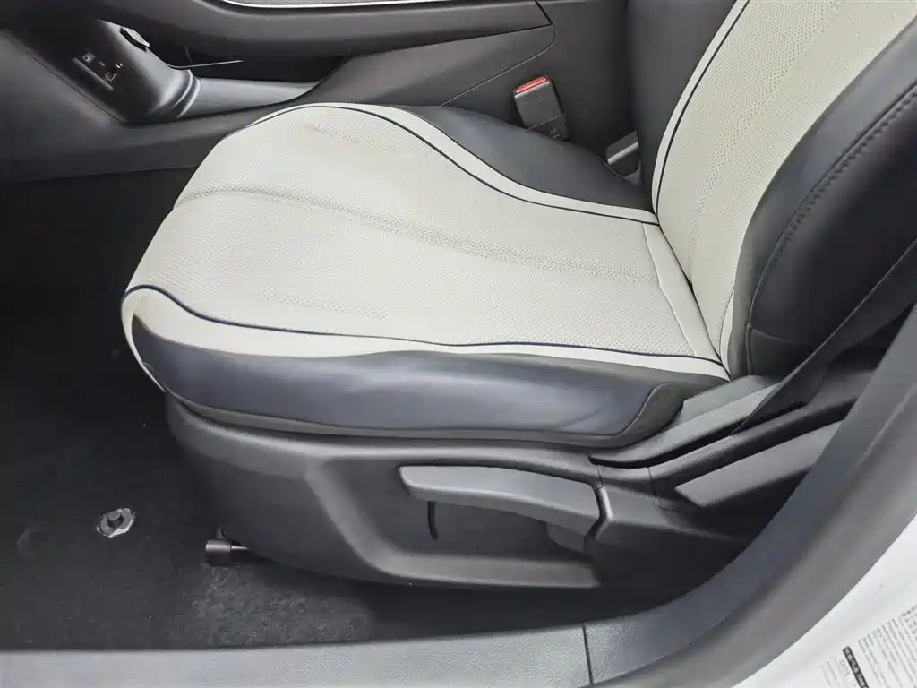 BYD Destroyer 05 2024 Glory Edition DM-i 55KM Luxury фото 20
