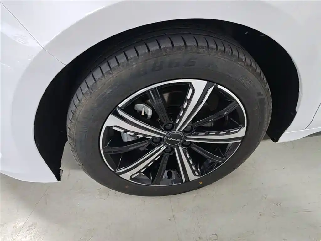 BYD Destroyer 05 2023 Model Champion Edition DM-i 120KM Luxury фото 25