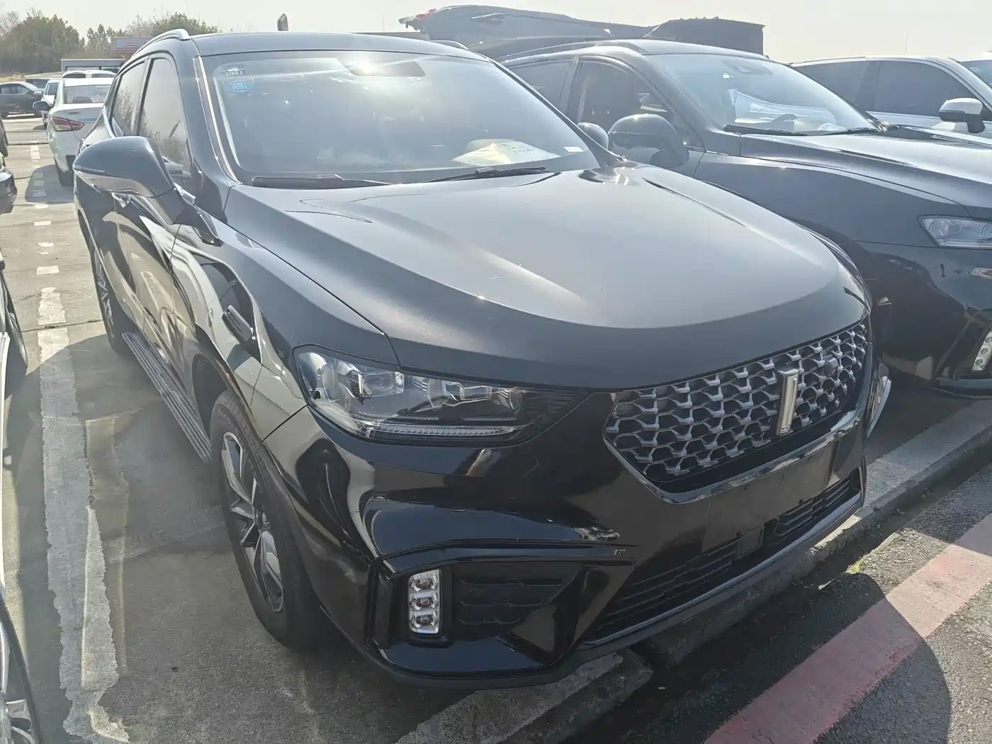 WEI PAI WEI BRAND VV5