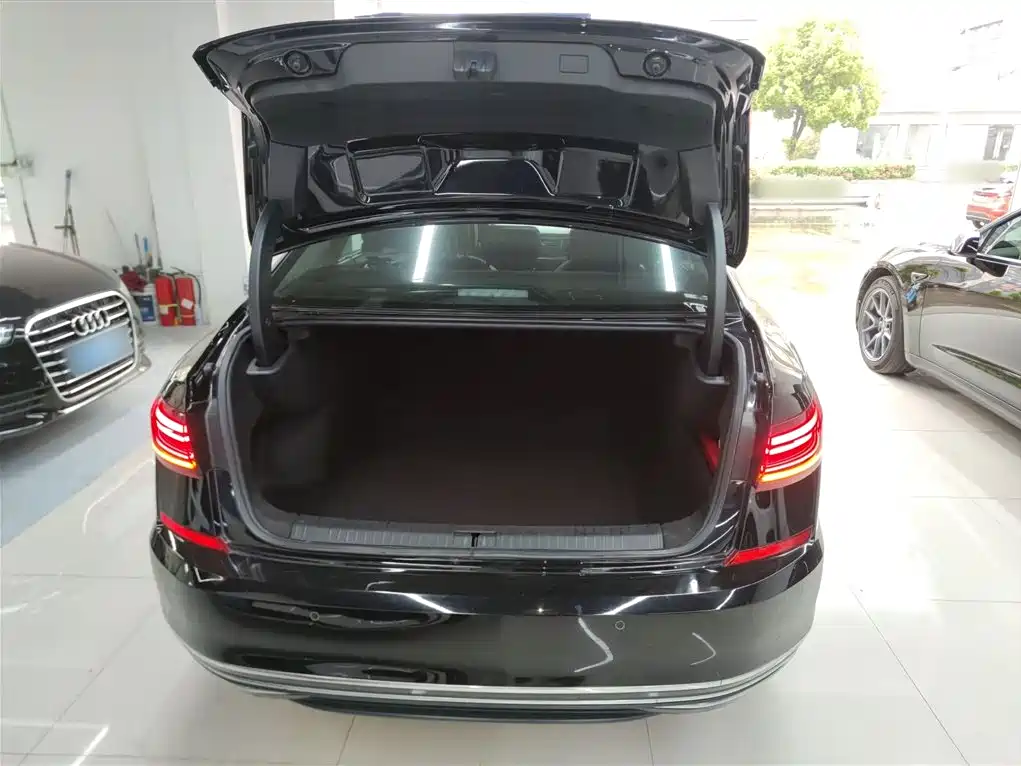 Volkswagen Passat 2022 330TSI Luxury Edition фото 19