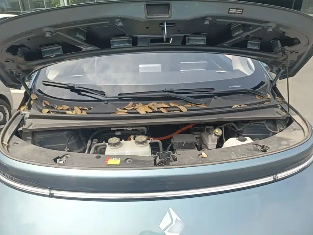Baojun Cloud 2024 2023 460 Pro