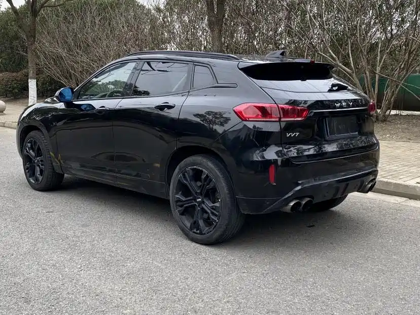 WEI PAI WEI BRAND VV7