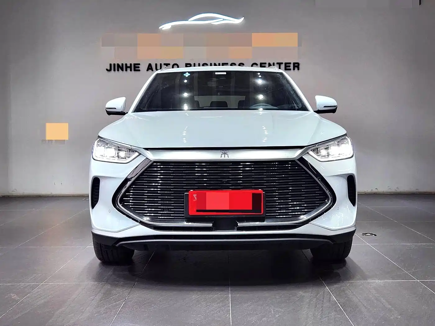 BYD Song PLUS PHEV 2021 DM-i 51KM Honor фото 2