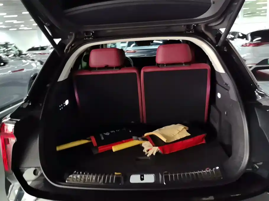 Hongqi E-HS9 2022 660km Qi Chang Edition (6-seater) фото 4