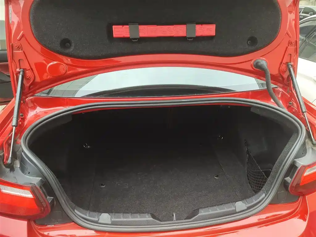 BMW 2 Series (Import) 2014 220i Leading фото 19