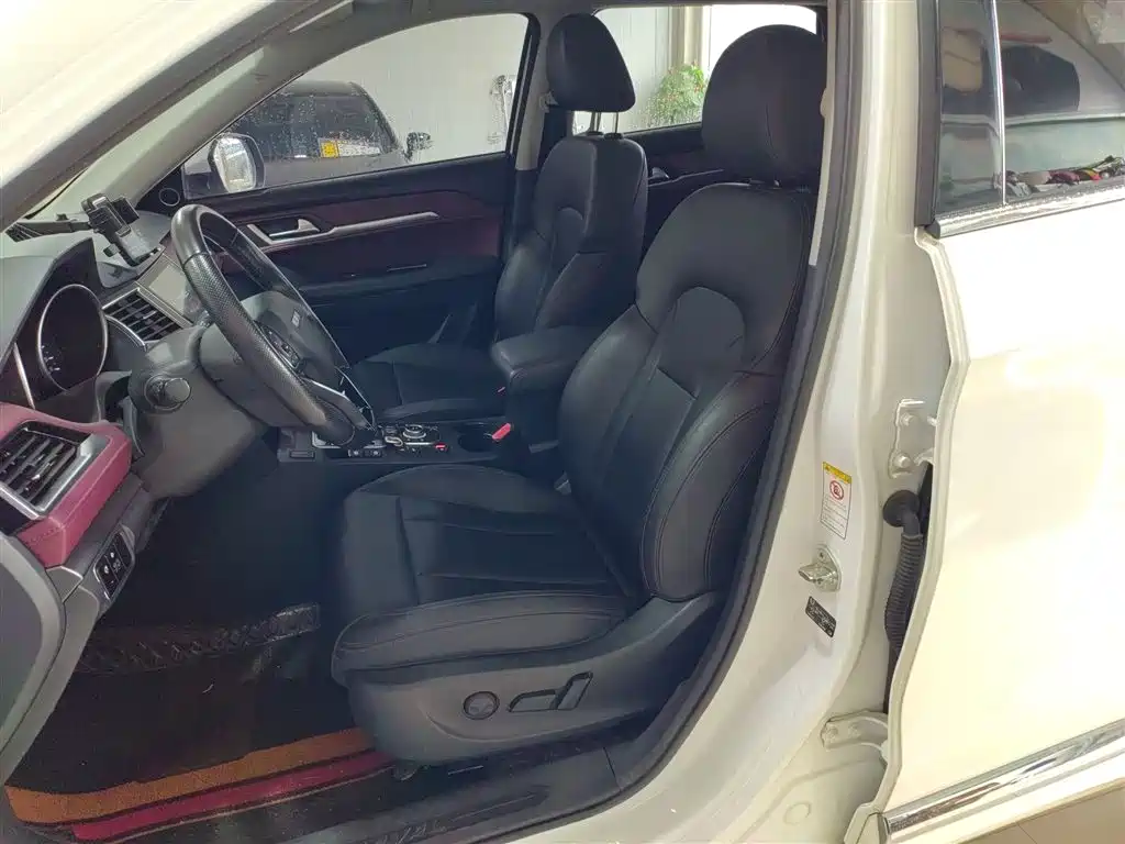 Haval H6 Coupe 2018 Red Label 1.5T Auto 2WD Ultra Luxury фото 15