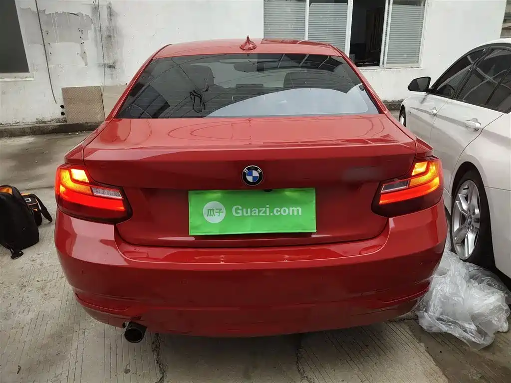BMW 2 Series (Import) 2014 220i Leading фото 6