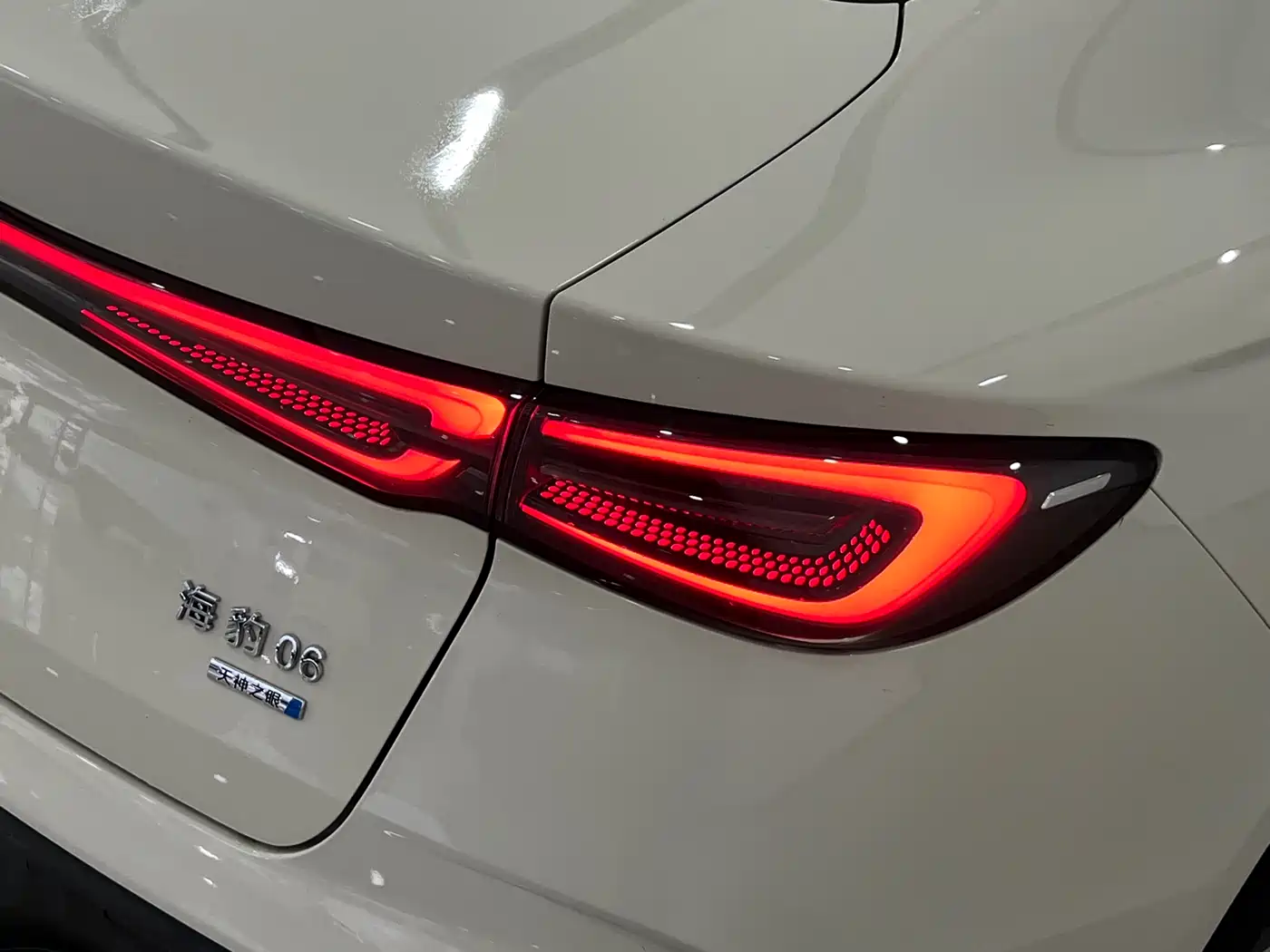 BYD Seal 06 New Energy 2025 DM-i Smart Drive Edition 120KM Luxury фото 6