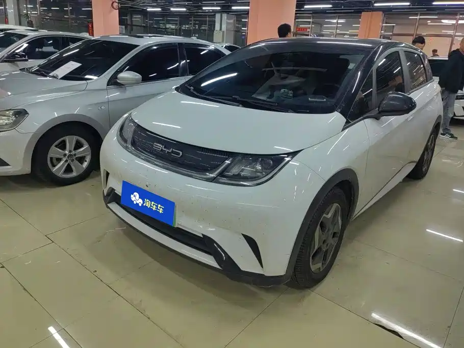 BYD Dolphin 2021 2021 Model 405km Fashion Edition