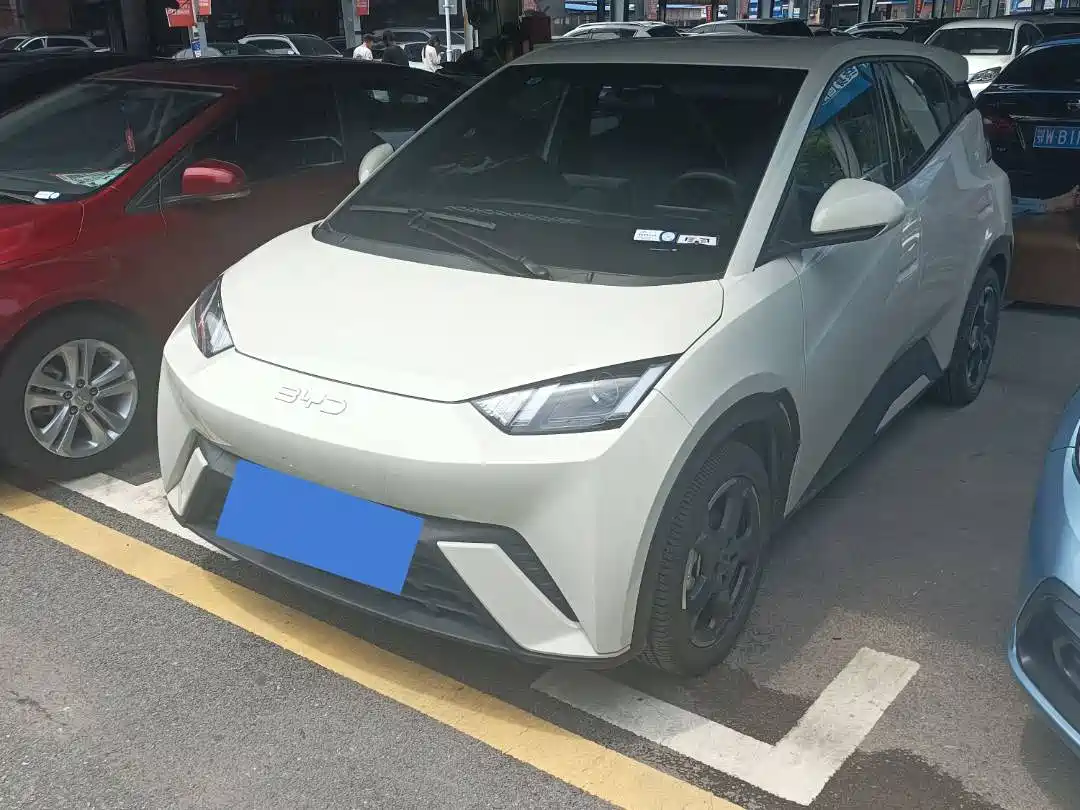 BYD Seagull 2024 Glory Edition 305km Freedom Edition