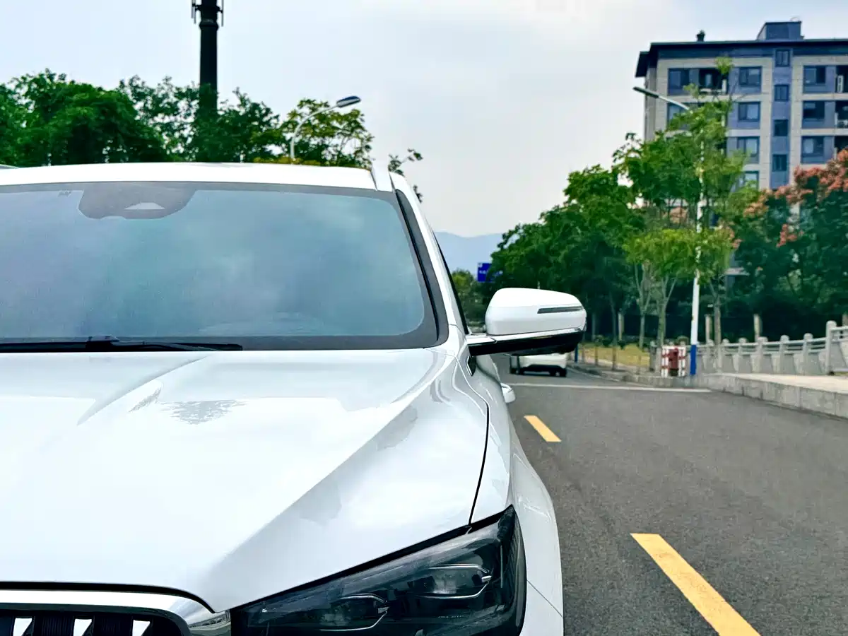 Фото 3 - Geely Monjaro