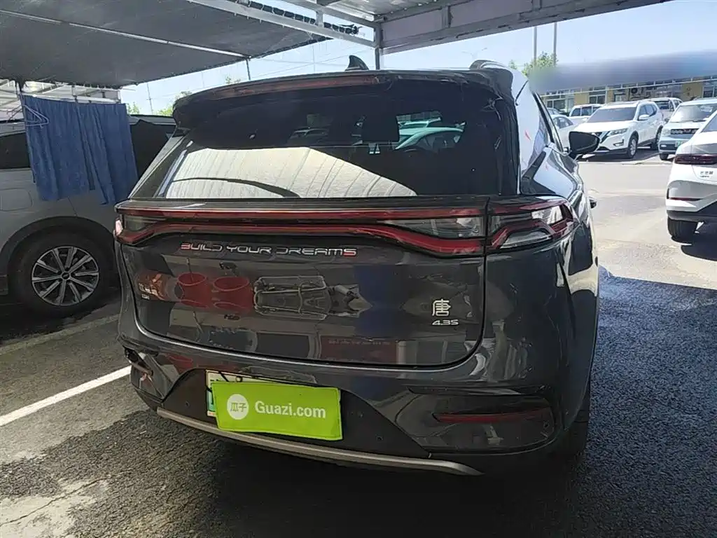 BYD Tang New Energy 2021 DM 2.0T AWD High Performance Genesis Flagship фото 6