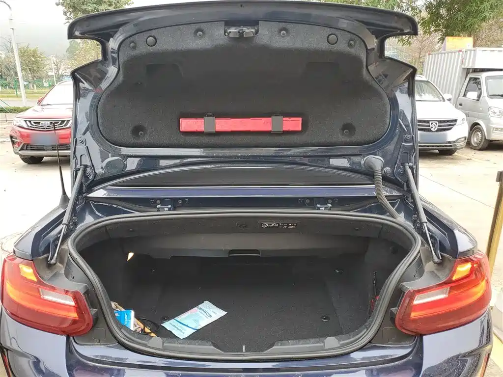 BMW 2 Series (Import) 2017 220i Convertible Coupe Leading фото 15