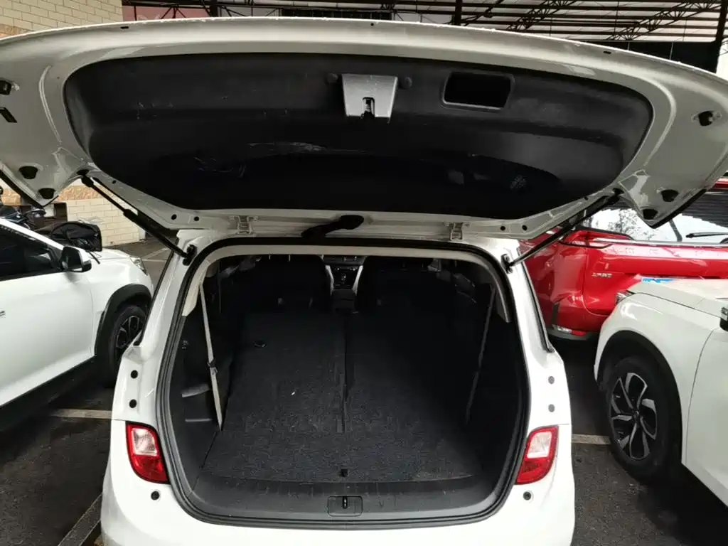 Photo 19 - Buick GL6