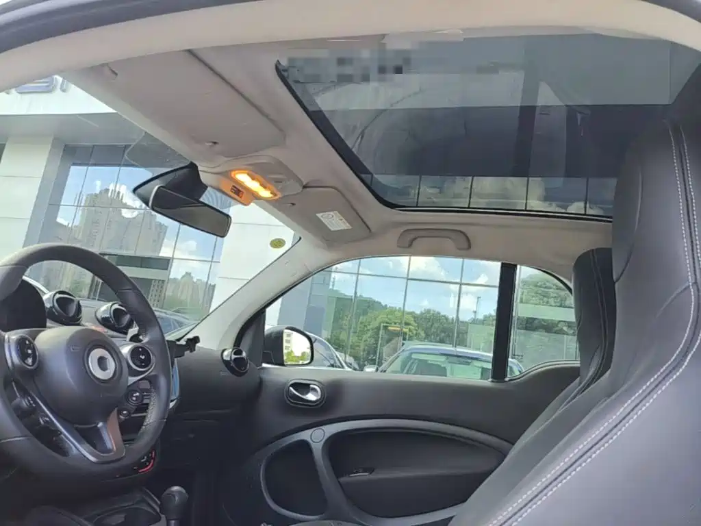 smart fortwo 2019 2018 1.0L 52kW Hardtop Passion Edition China V
