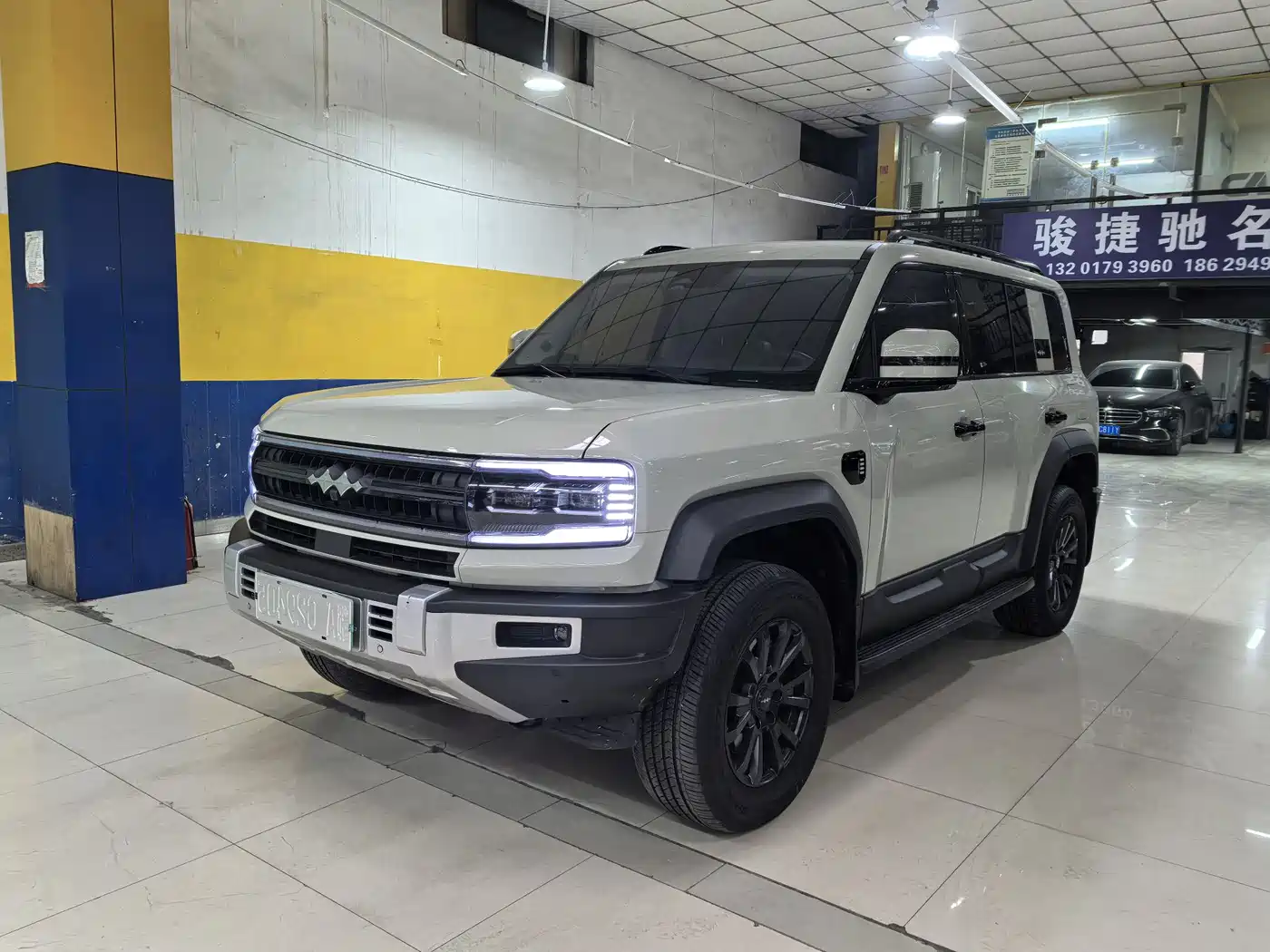 FANG CHENG BAO LEOPARD 5