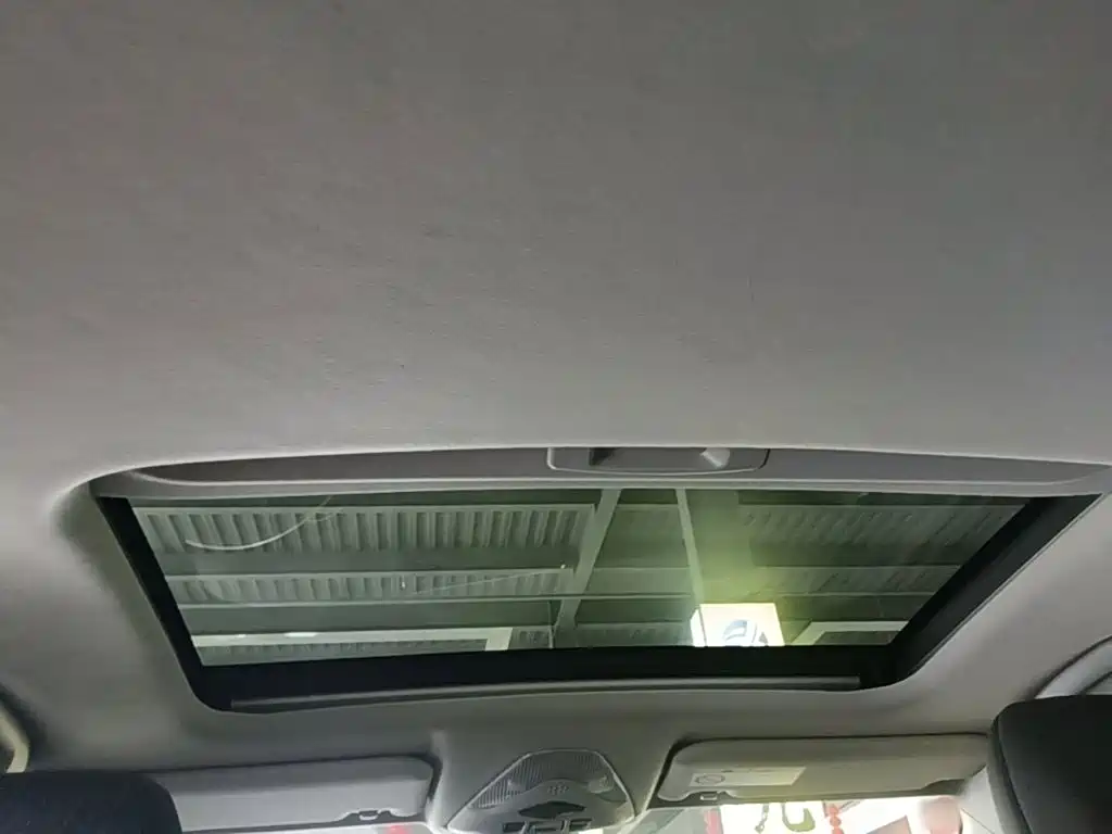 Toyota IZOA 2021 2021 2.0L Yixing Edition
