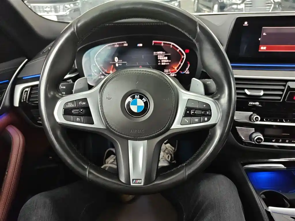 BMW 5 Series 2020 530Li Leading M Sport Package фото 11