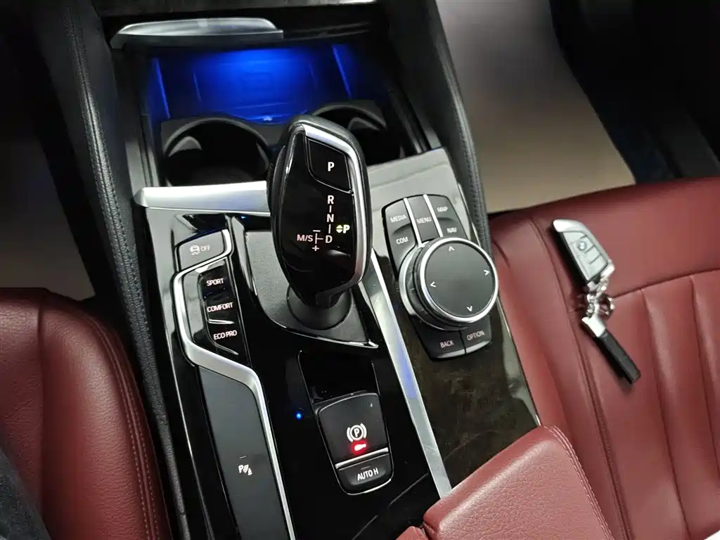 BMW 5 Series 2020 530Li Leading M Sport Package фото 14