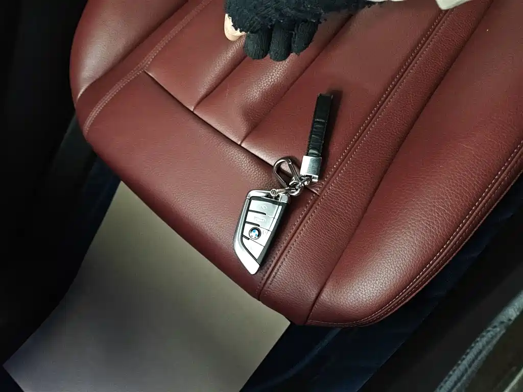 BMW 5 Series 2020 530Li Leading M Sport Package фото 9