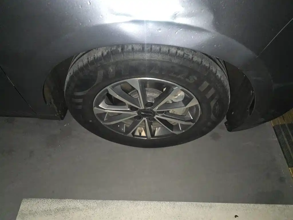 BYD Destroyer 05 2024 Glory Edition DM-i 55KM Luxury фото 23