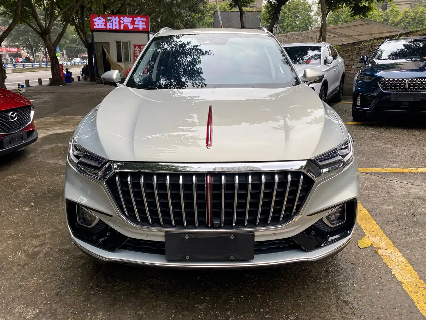 Hongqi HS5 2019 2.0T Smart Connect Enjoy 4WD Edition фото 2