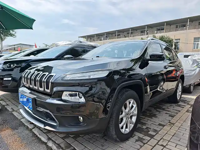  Jeep Cherokee 2016 2.4L Professional Edition