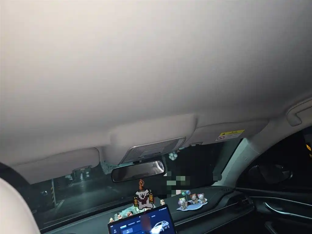 BYD Destroyer 05 2024 Glory Edition DM-i 55KM Luxury фото 9