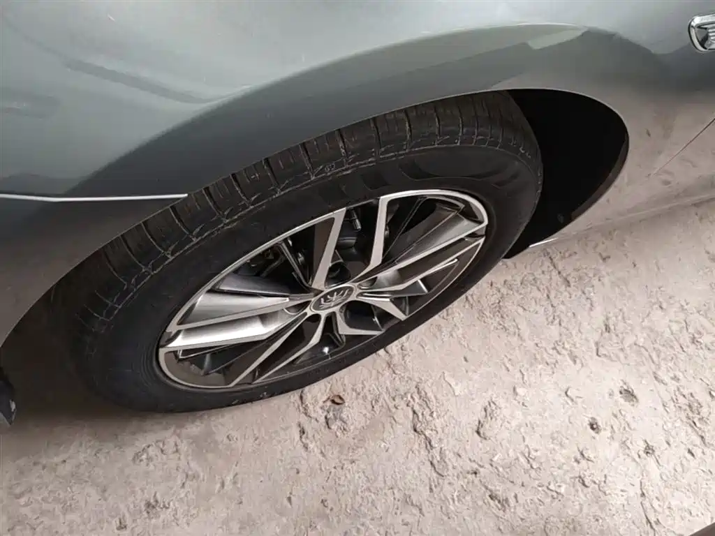 BYD Qin PLUS 2023 Champion Edition DM-i 120KM Leading Type фото 23