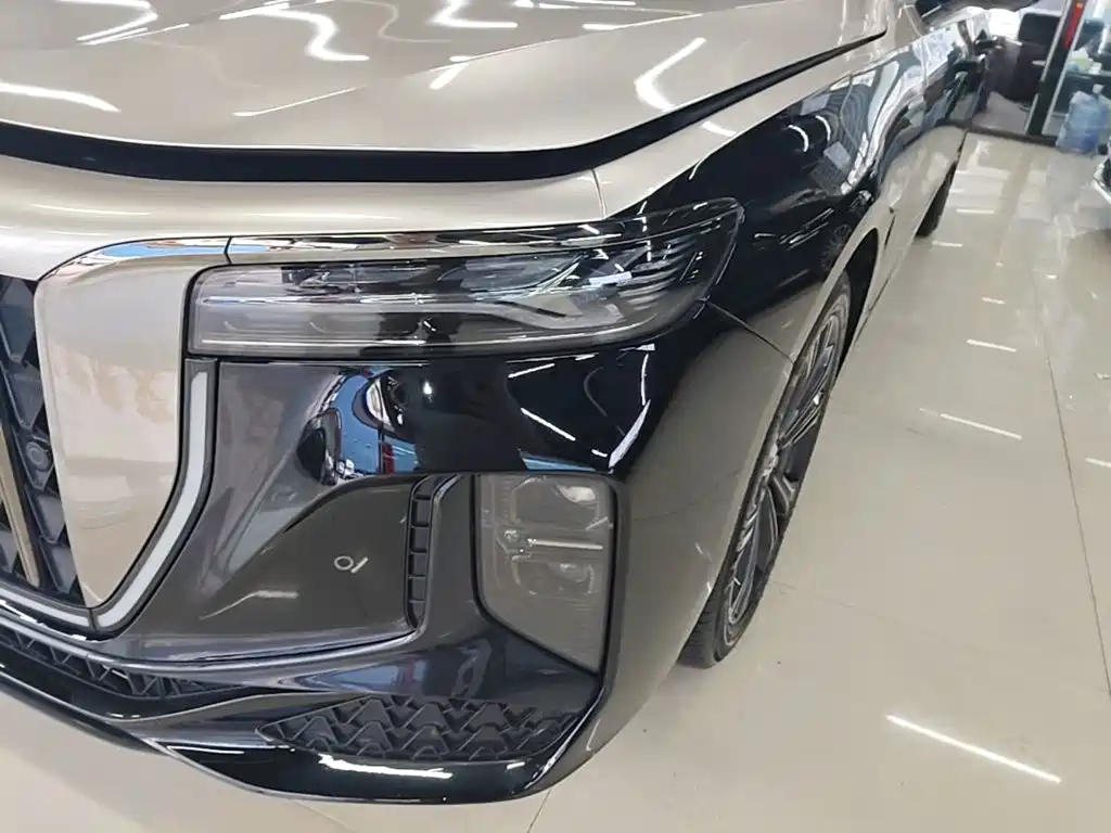Hongqi H9 2025 2024 2.0T Qi Enjoy Private Fashion Edition