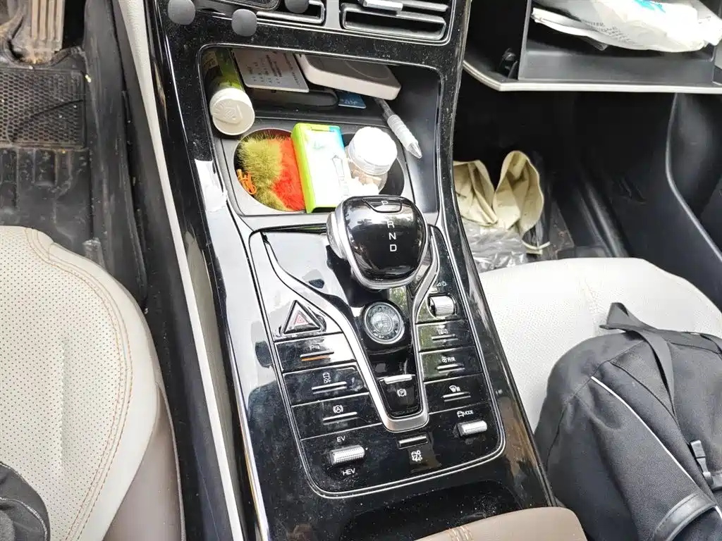 BYD Qin PLUS 2024 Glory Edition DM-i 55KM Leading фото 11