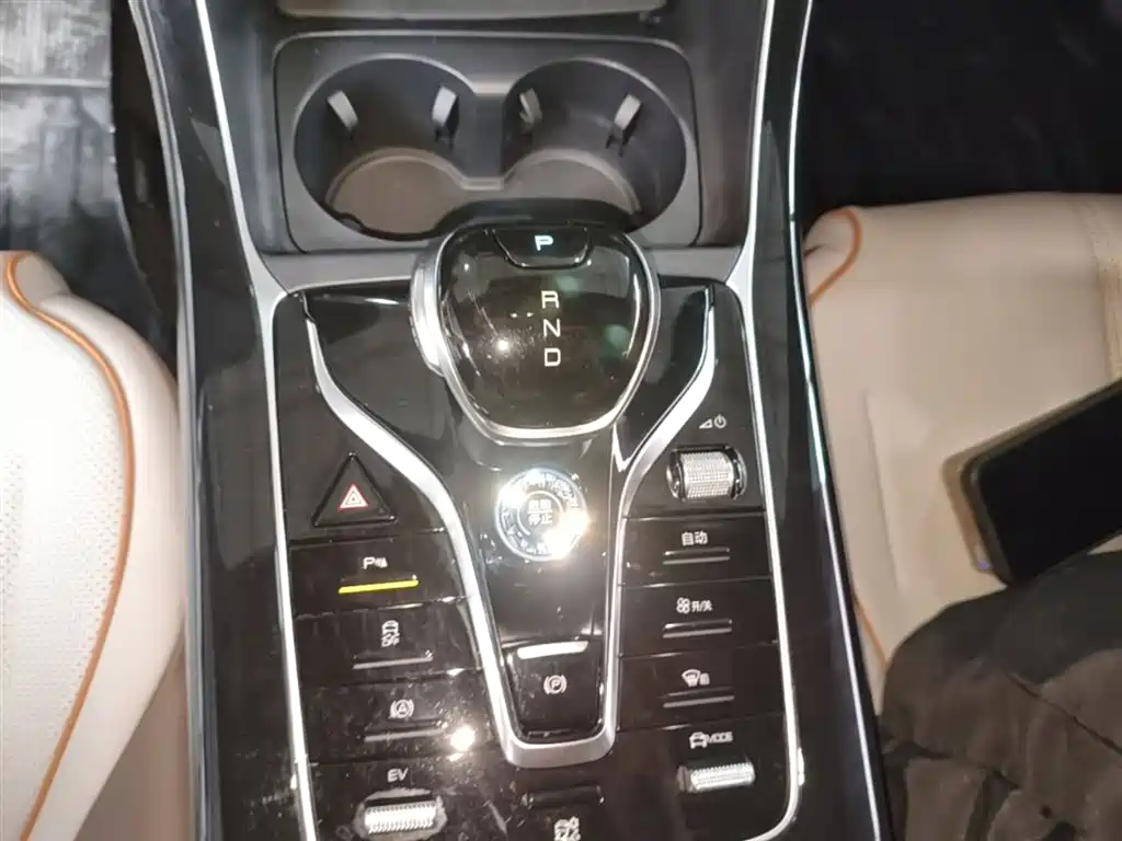 BYD Qin PLUS 2023 Champion Edition DM-i 120KM Leading Type фото 14