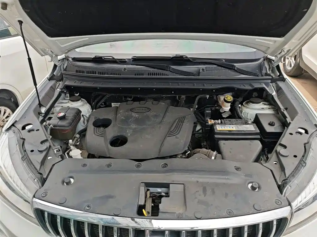 SWM Motor SWM X7 2020 2020 2.0L Manual Comfort 7-seater