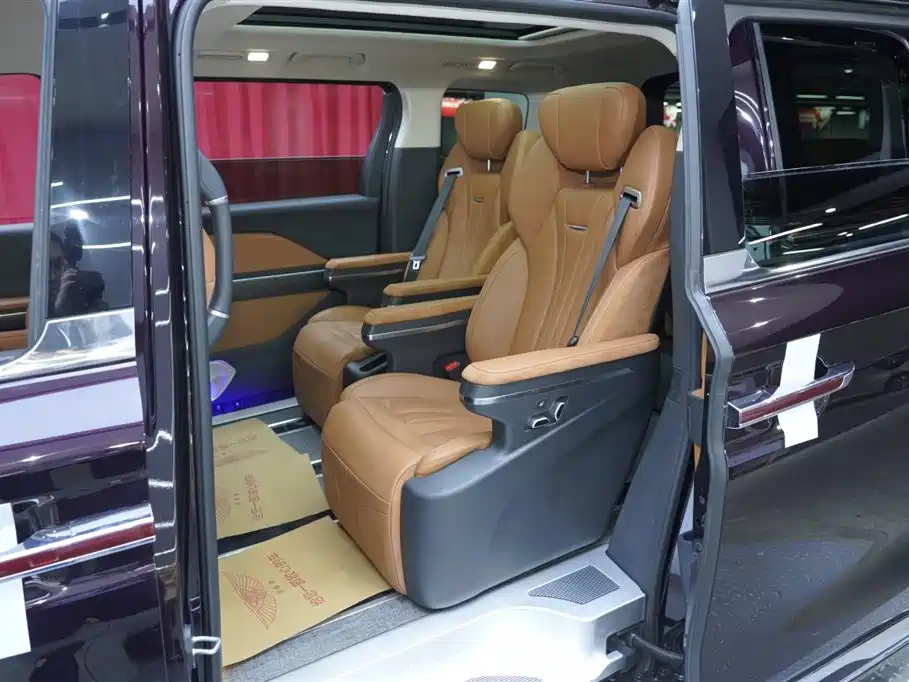 Hongqi HQ9 PHEV 2024 Model 2.0T AWD Business Edition фото 19
