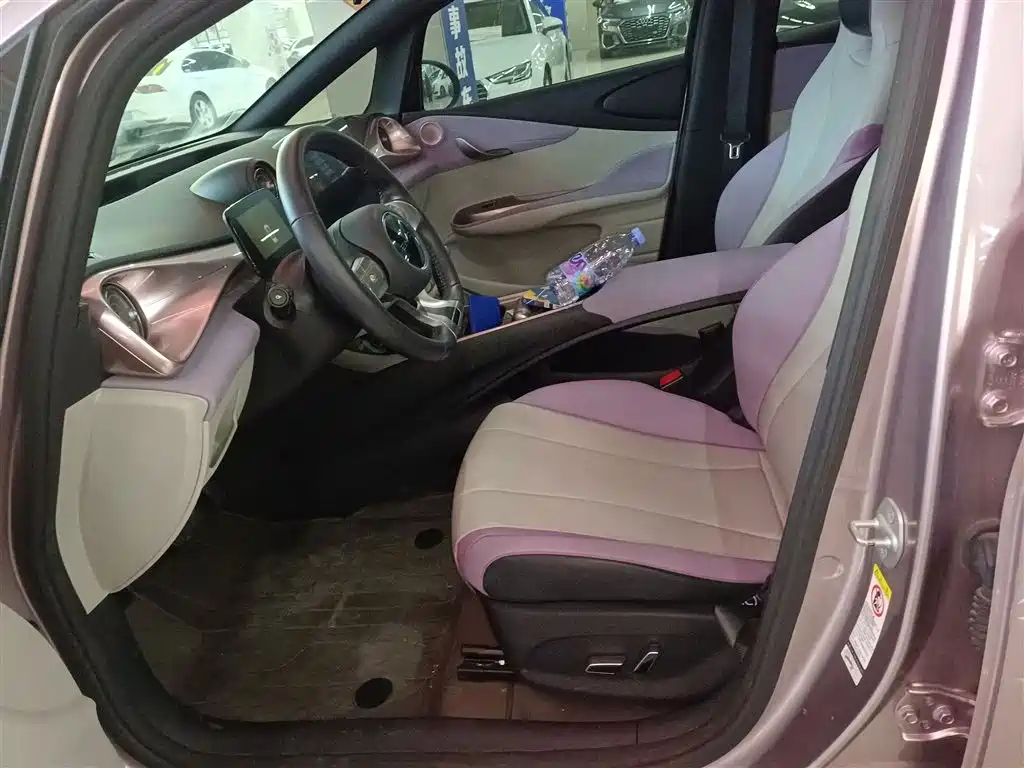 BYD Dolphin 2021 Model 405km Fashion Edition фото 14
