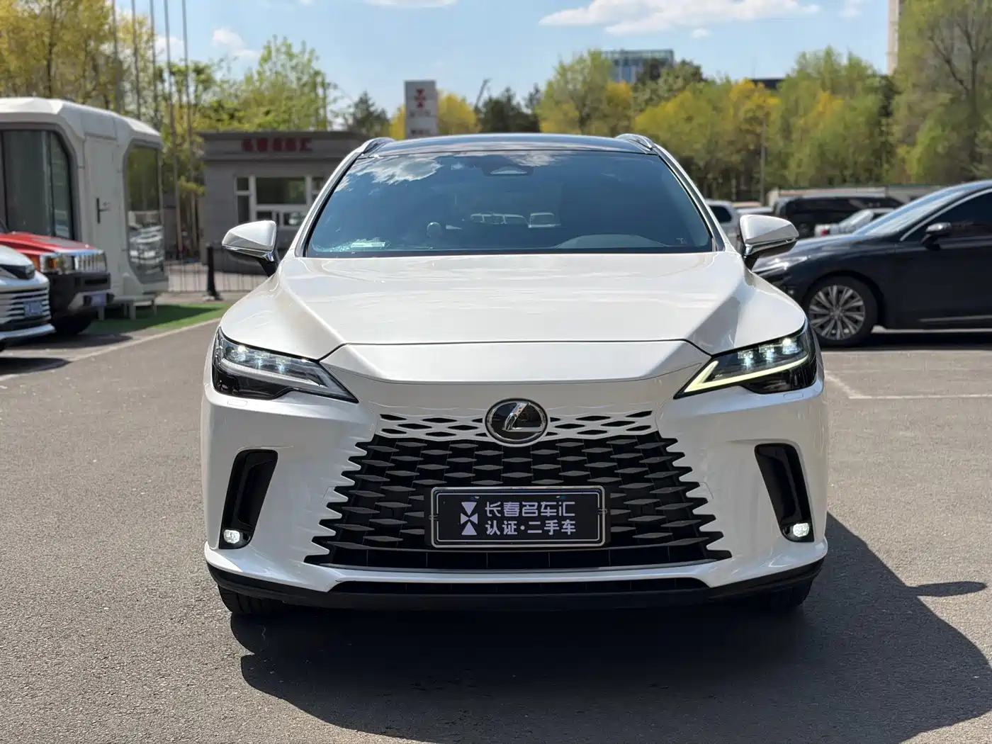 Lexus RX 2023 350h 4WD Pure Edition фото 2