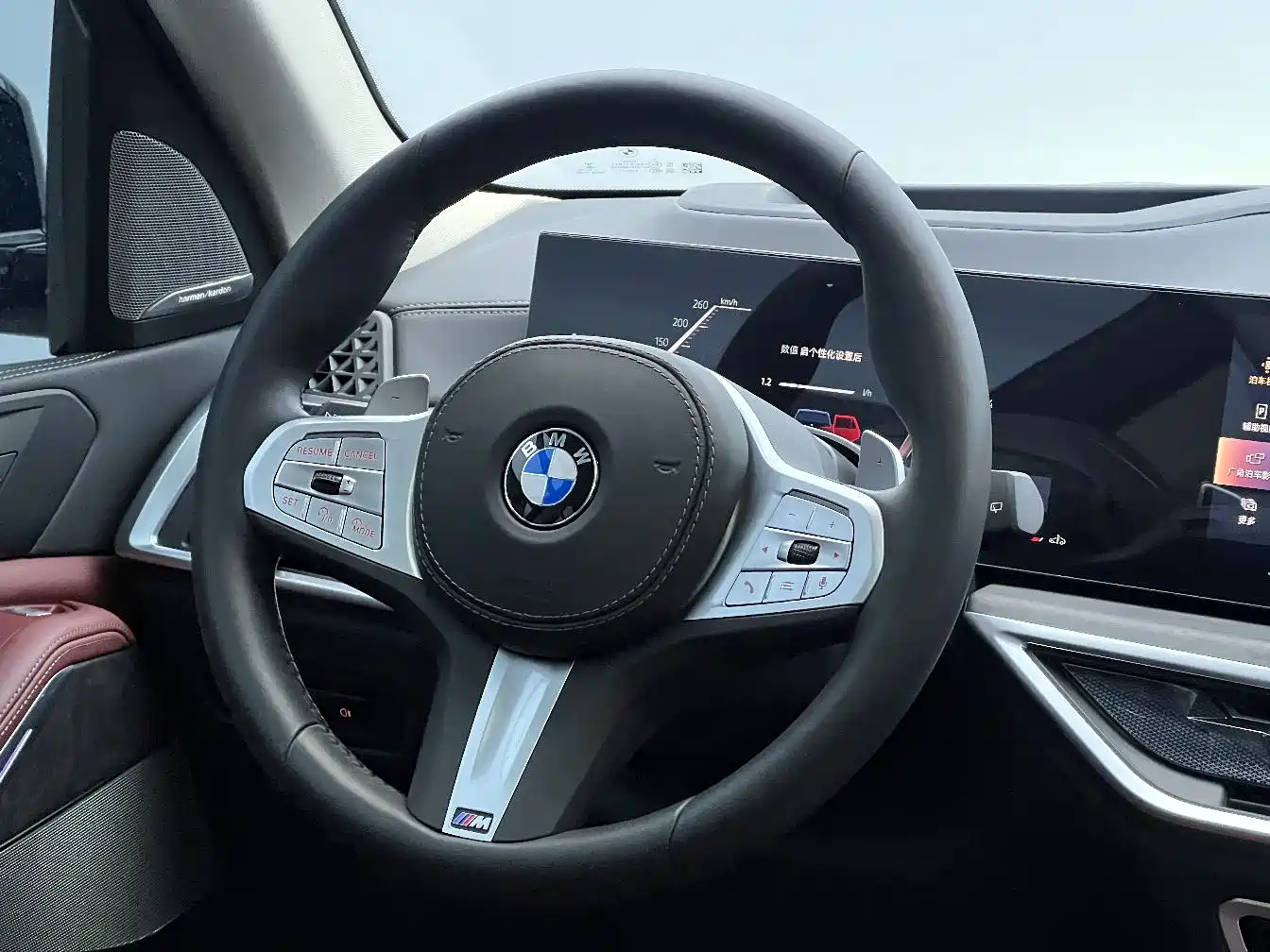 BMW X5 2025 Model xDrive 30Li Exclusive M Sport Blackout Package фото 25