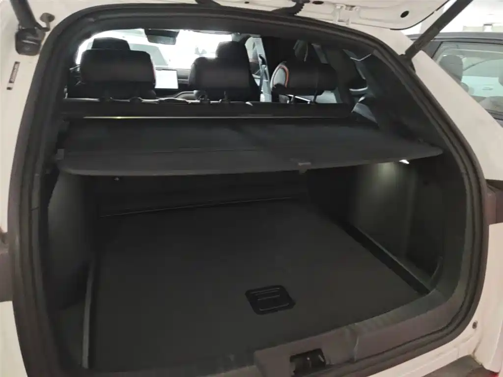 BYD Song PLUS PHEV 2023 Champion Edition DM-i 110KM Flagship PLUS фото 19