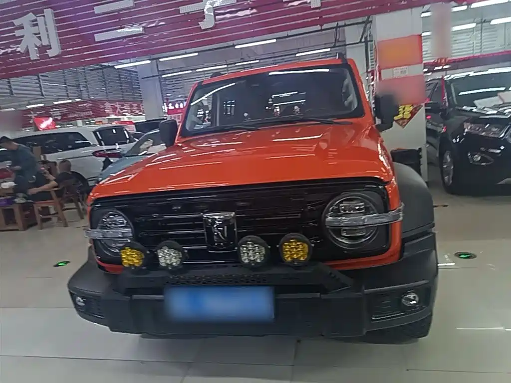 Tank 300 2021 Off-road Version 2.0T Conqueror фото 3