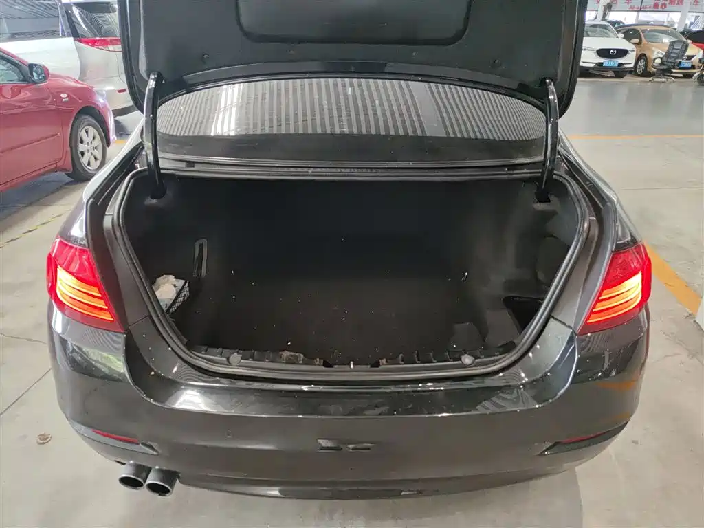 BMW 5 Series 2014 525Li Leading фото 9