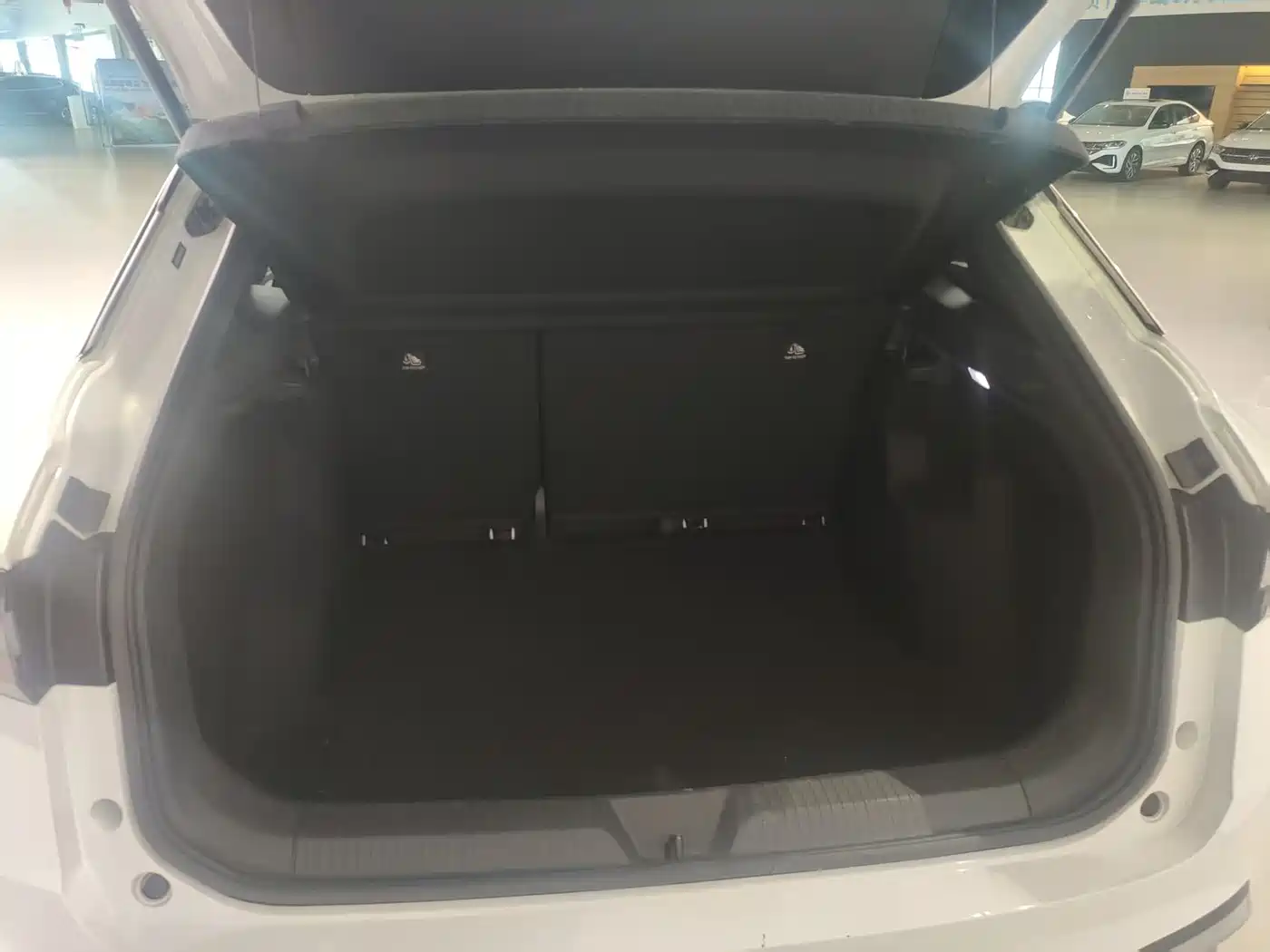 Volkswagen ID.4 X 2024 Pure Intelligent Edition фото 8