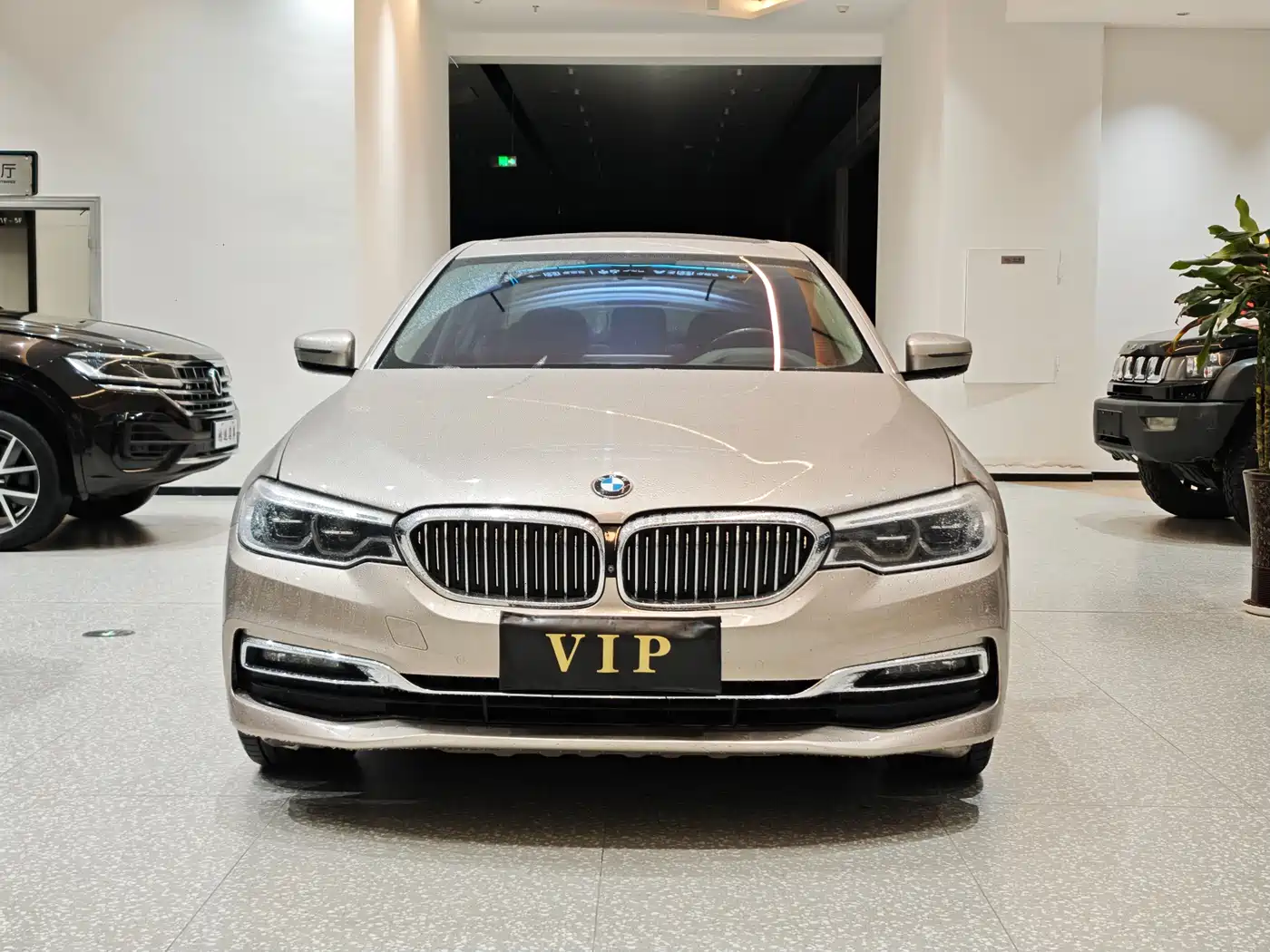 BMW 5 Series 2019 530Li Premium Luxury Package фото 2