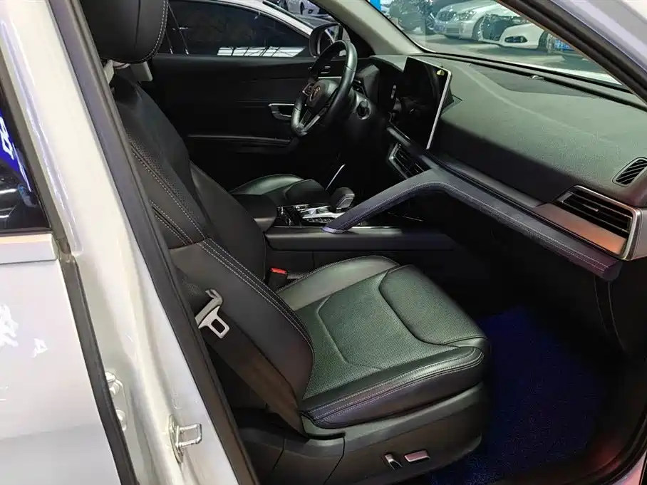 BYD Song Pro New Energy 2019 DM 1.5T 4WD Performance Flagship фото 11