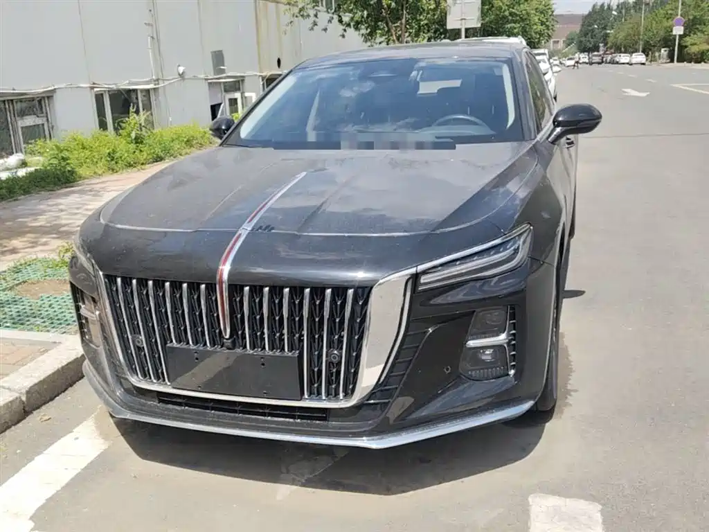 Hongqi H5 2023 2.0T Auto Smart Connect Flag Enjoy фото 5