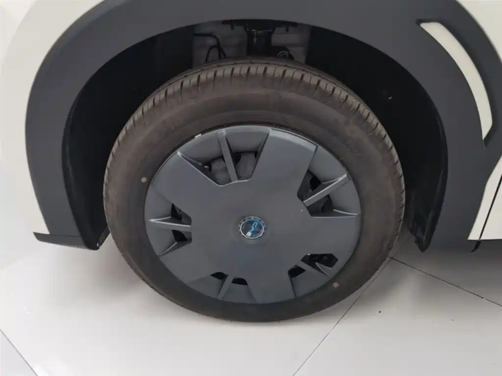 BYD Seagull 2025 Smart Drive Edition 305km Vitality Version фото 23