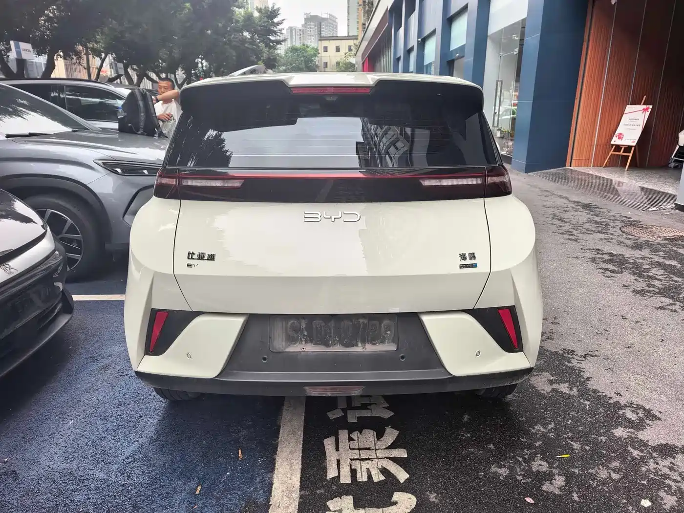 BYD Seagull 2025 Smart Drive Edition 305km Freedom Version фото 9