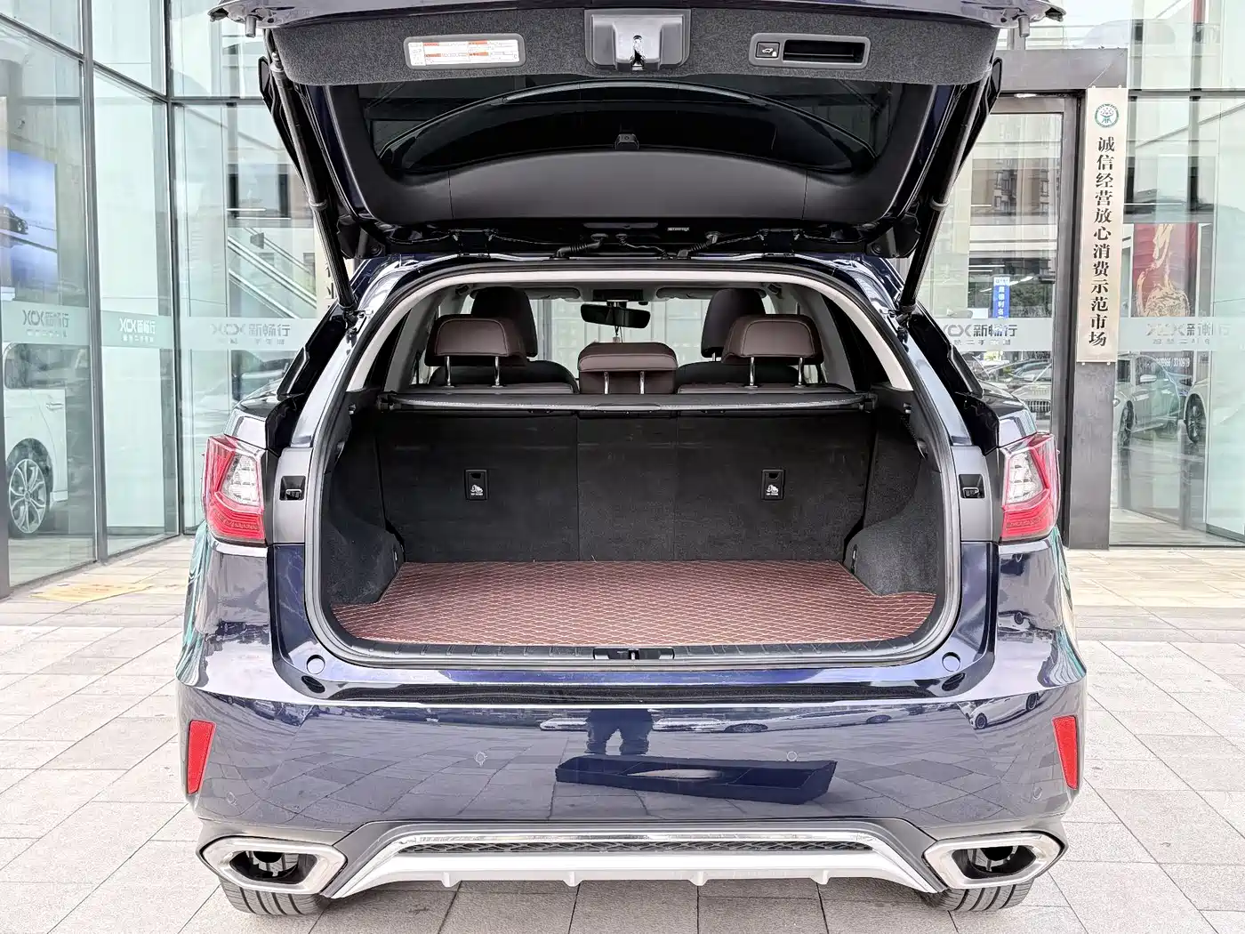 Lexus RX 2016 300 4WD Elegance Edition (China V) фото 20