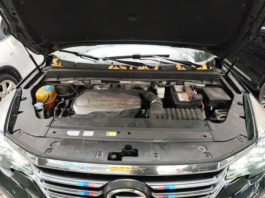 GAC Trumpchi Trumpchi GS8 2017 320T 2WD Luxury Smart Connect (7-seater) фото 20