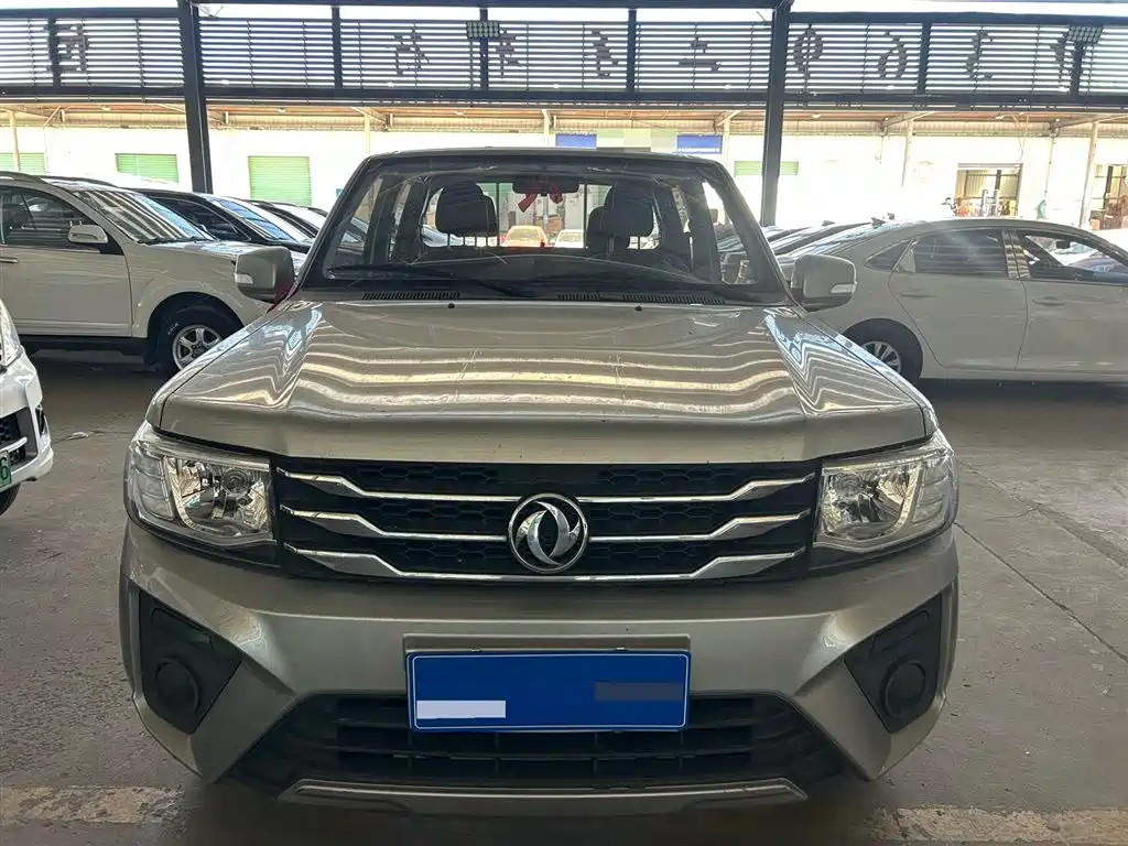 DONGFENG RUIQI